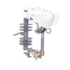 24kv velit expulsionem gutta-sicco genus fuse cutout