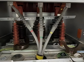 Lego ius cable felis