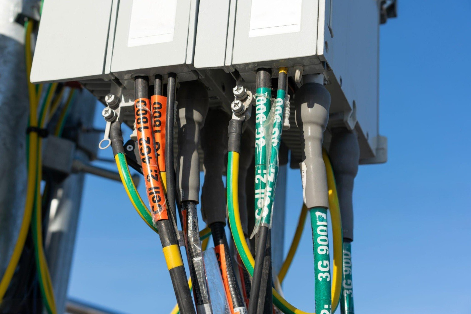 Calorem Shrink nobis frigus Shrink